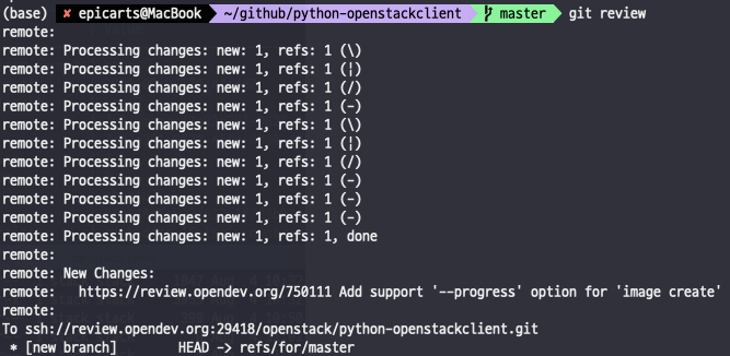 ../_images/first_issue_git_review.png