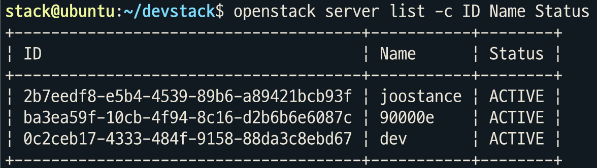 openstack-server-list-multi-column-by-one-opt